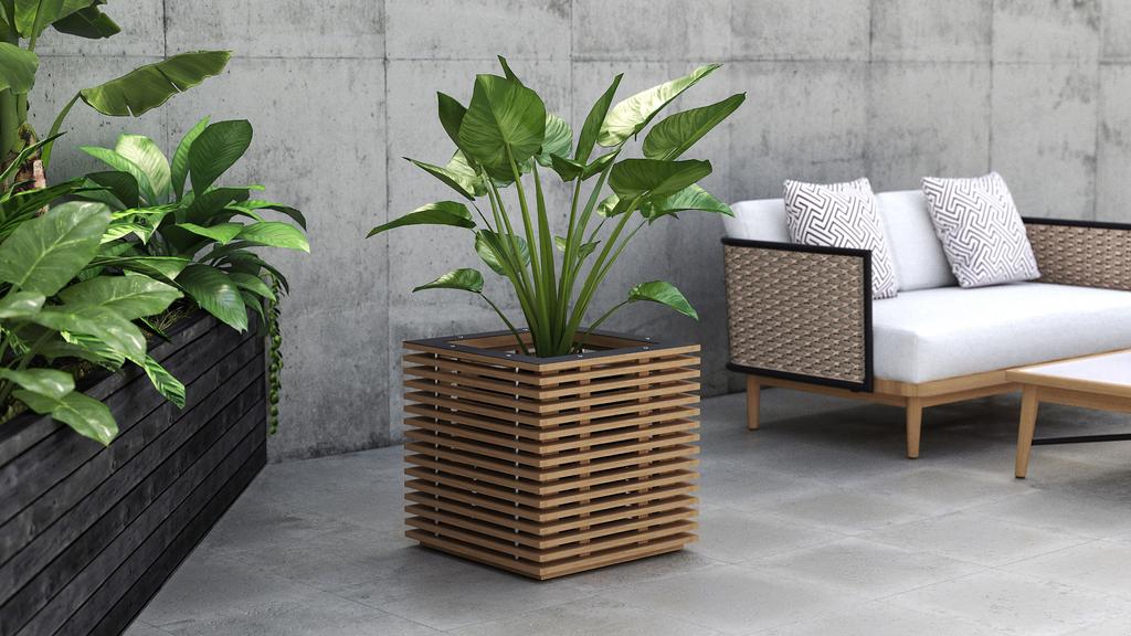 Canna Medium Planter - Ambiance Image~~